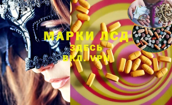 ECSTASY Богородицк