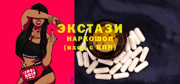 ECSTASY Богородицк